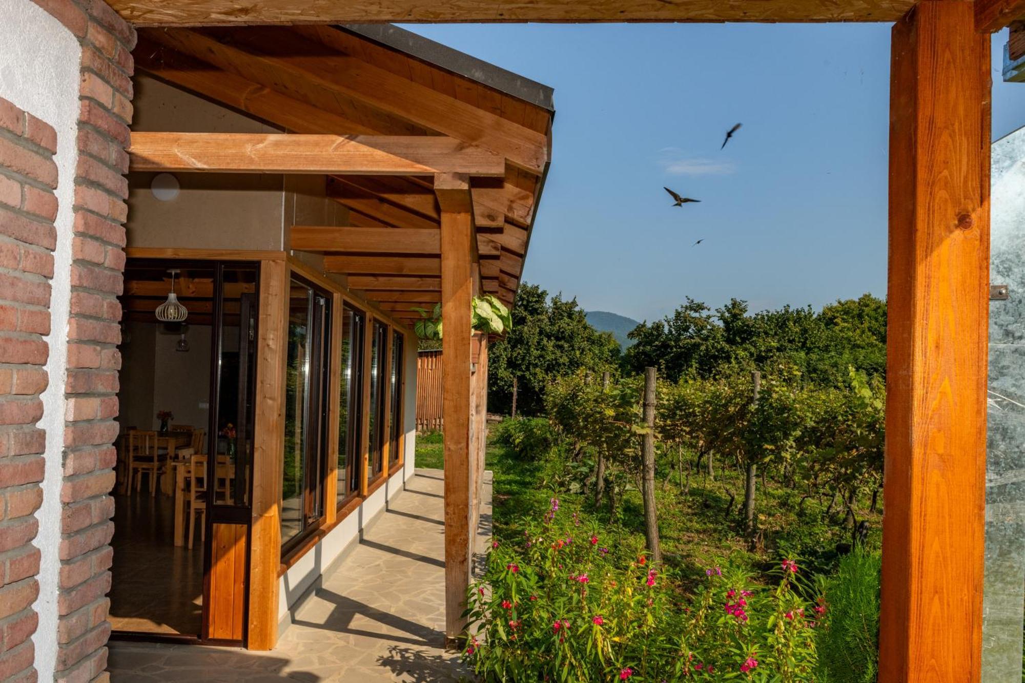 Alvani Inn K'vemo Alvani Екстериор снимка